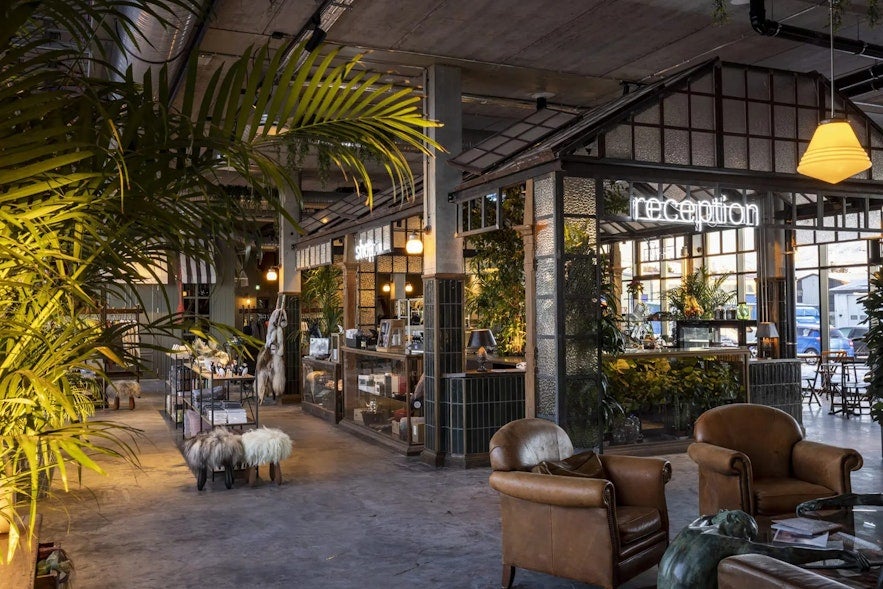 Cozy greenhouse food hall in hveragerdi