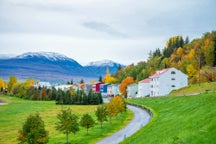 Guesthouses in Akureyri