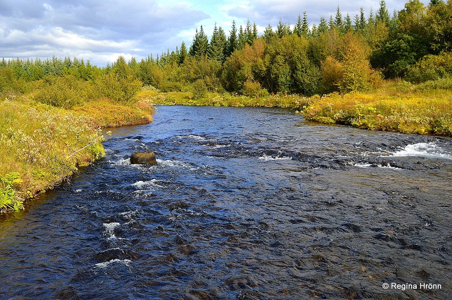 Beiná river in Haukadalsskógur forest in South-Iceland