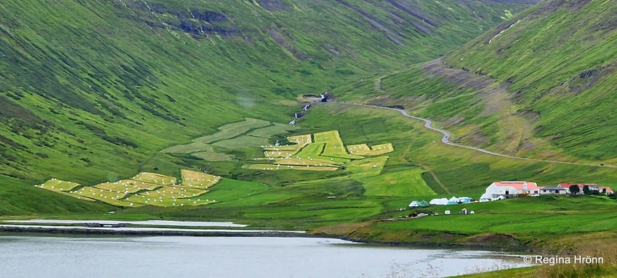 Skáli Hallvarðs Súganda - Viking Settlement-Age Farm in the Westfjords of Iceland