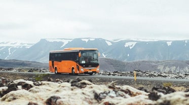 An orange bus is driving past a lava field covered in moss.