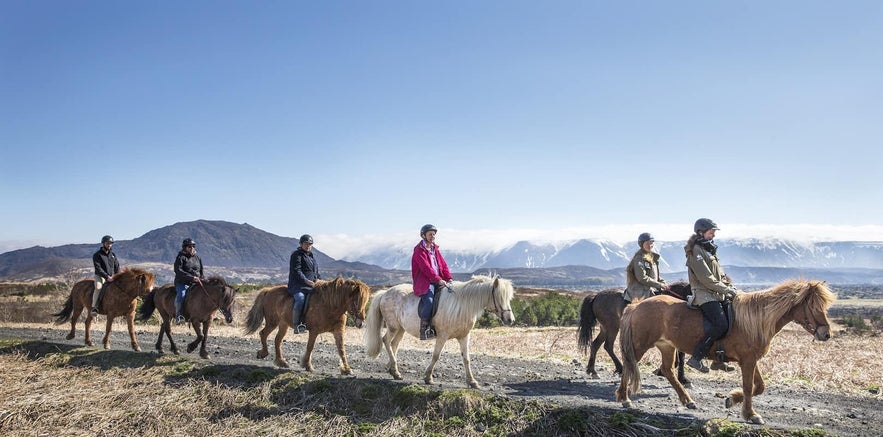 Horse riding in Iceland with people on scenic trails and mountain views, a fun activity for those arriving early in Iceland.