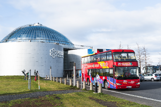 Reykjavik Hop-On Hop-Off Bus & Northern Lights Hunt Combo Tour