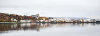 Top 9 Best Restaurants in Akureyri