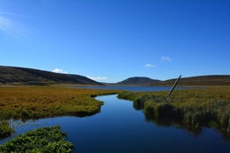 The Langavatn lake is located in a remote part of West Iceland. 