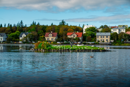 Tjornin is the pond that can be found in the city center of Reykjavik.