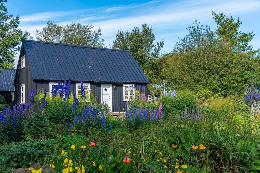 Nimm dir Zeit für einen Besuch des wunderschönen Botanischen Gartens von Akureyri