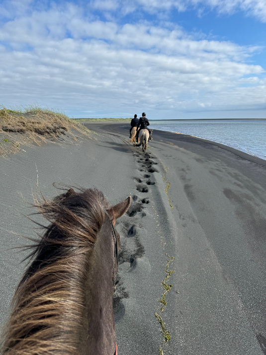 A line of horse riders exploring the volcanic sands of Iceland's South Coast.