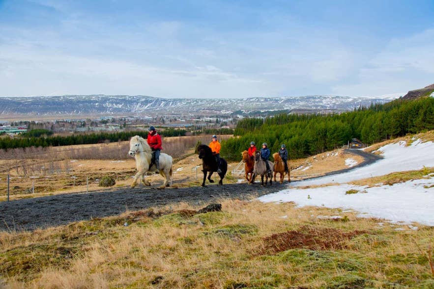 Passeggiata a cavallo islandese, un’attività rilassante e tra le migliori cose da fare a febbraio in Islanda