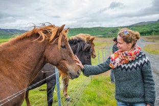 Een vrouw aait een zwart IJslands paard.