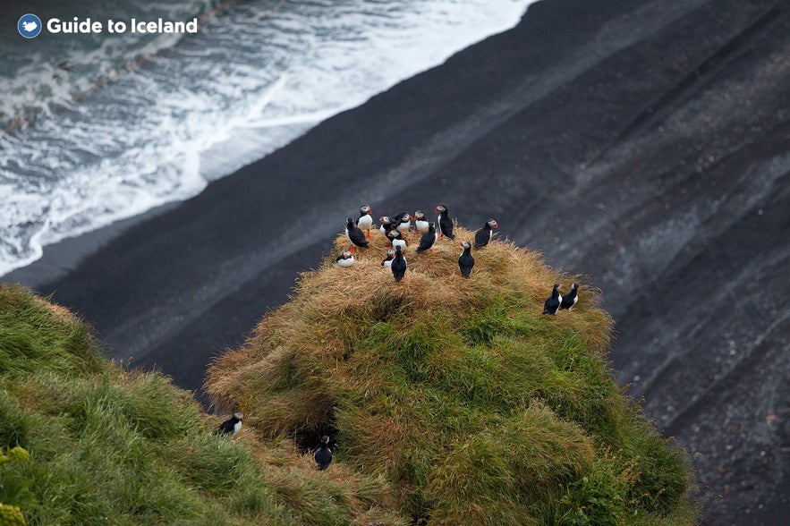 Summer is the best time to visit Iceland