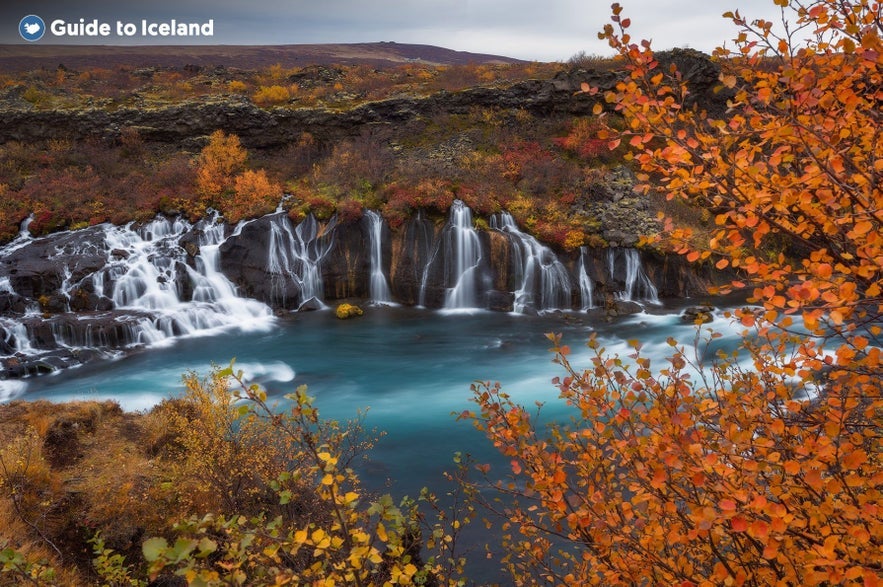 Hraunfossar waterfalls are beautiful draped in fall colors