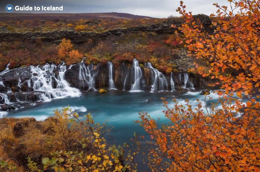 Hraunfossar Waterfalls framed by autumn colors in West Iceland, when fall temperatures cool to 32°F to 50°F.