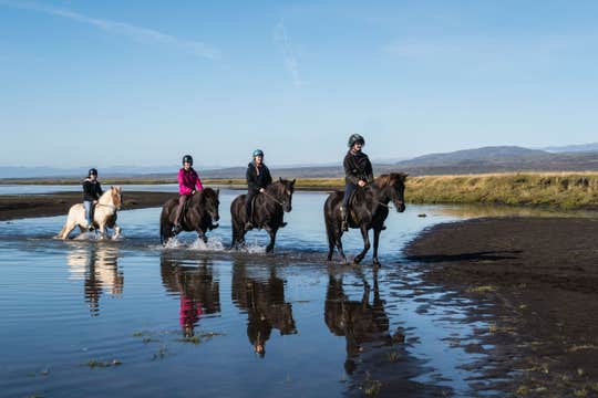Adventurous Horse Riding Tour for Experienced Riders with Optional Transfer from Reykjavik