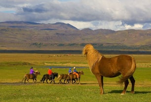 A group of people ride their horses through a green grass field.