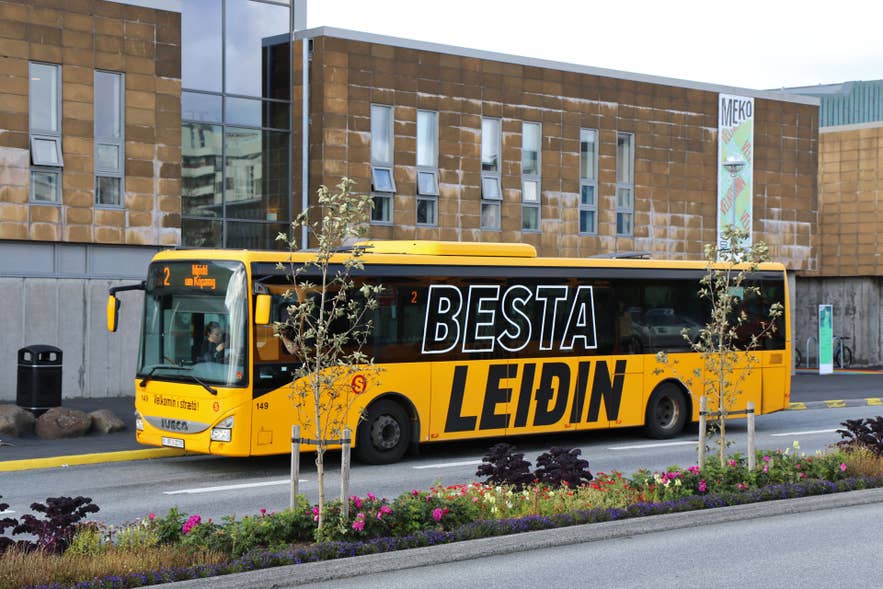 Du kannst den Straeto-Bus an der Haltestelle Hamraborg in Kopavogur nehmen