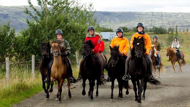 Einfacher 5-stündiger Ausritt über Wiesen & Berge mit Transfer ab Reykjavik