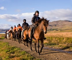 People riding their horses in a row.