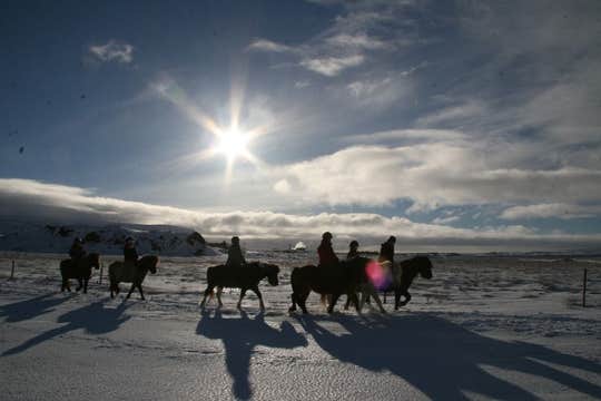 Magical Horseback Riding Tour with Elves, Folklore, & Optional Pick-up from Reykjavik