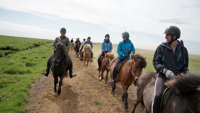 Horseback Riding and Hiking Tour in Reykjadalur Valley with Optional Pick-up from Reykjavik