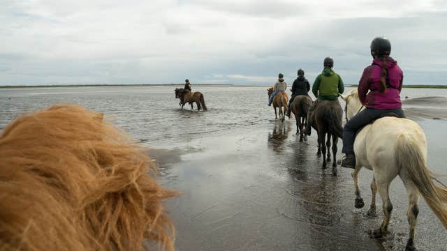冰岛黑沙滩骑马一日游|雷克雅未克接送