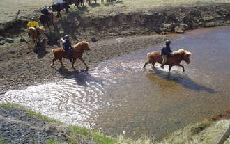 Excursion Balade à Cheval Amusante de 5 heures dans la Campagne Islandaise avec Transfert depuis Reykjavik