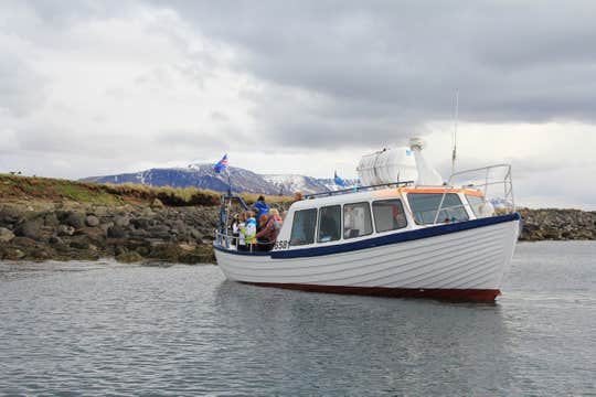 8-stündige Kombi-Tour: Ausritt und Bootstour zu den Papageientauchern mit Transfer ab Reykjavik