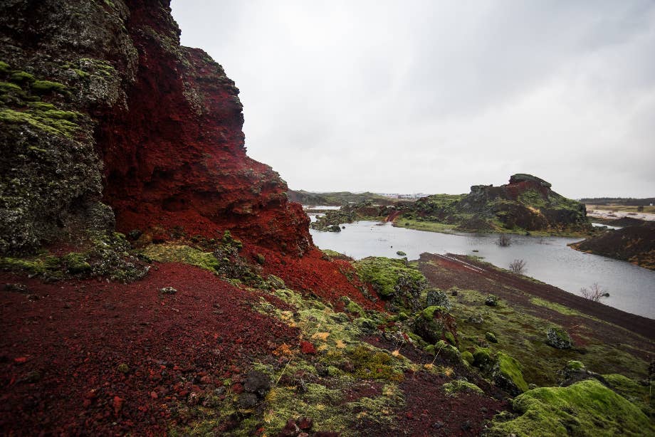 Red Rocks Iceland Top-Rated Horse Riding Tour with Optional Pickup from Reykjavik | Guide ...