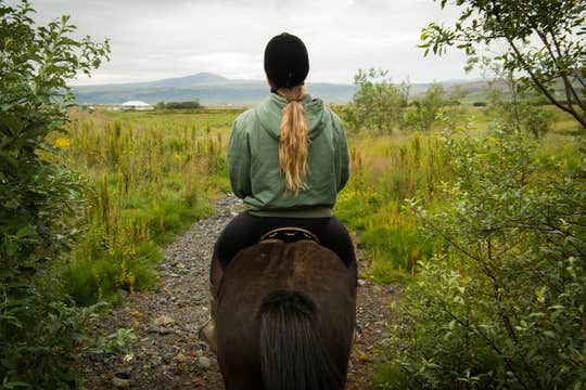 Enchanting 1.5-Hour Horse Riding Tour of the Reykjadalur Valley