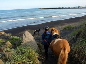 A horseback rider enjoys the views of Iceland's South Coast.