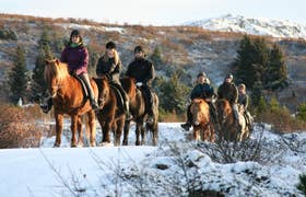 Beginner-Friendly 1-Hour Winter Horse Riding Tour Near Reykjavik