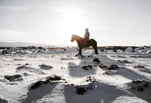 Beginner-Friendly 1-Hour Winter Horse Riding Tour Near Reykjavik