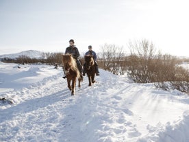 Horseback riding is a top activity in Iceland for all seasons.