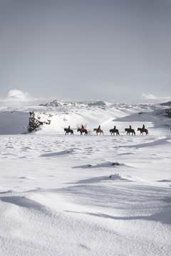Easy 1-Hour Horse Riding Tour in Hafnarfjordur Near Reykjavik for Beginners