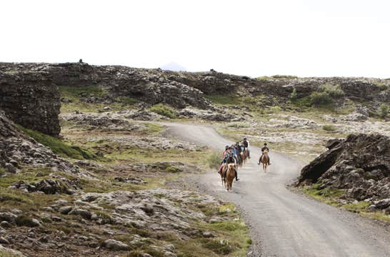 Easy 1-Hour Horse Riding Tour in Hafnarfjordur Near Reykjavik for Beginners