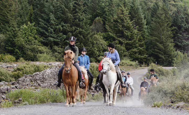 Nem ridetur gennem lavamarker med valgfri transport fra Reykjavik