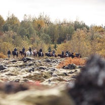 Balade à Cheval Facile dans des Champs de Lave avec Transfert Optionnel depuis Reykjavik