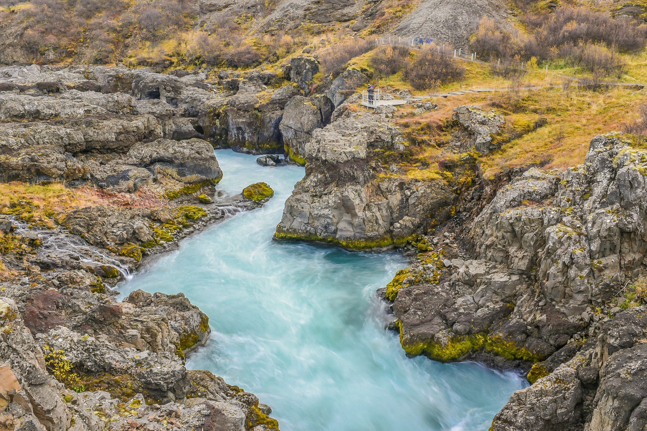 Floden, der løber gennem Hraunfossar-vandfaldene, har en smuk blå farve.