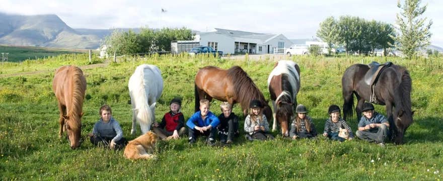 Thrilling 2-Hour Private Horseback Riding Adventure on Mosfellsdalur Valley Near Reykjavik