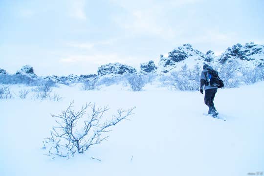 3-Hour Snowshoe Hiking Tour with Transfer from Lake Myvatn in North Iceland