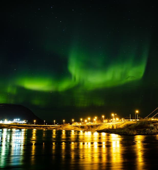Guesthouses in Selfoss