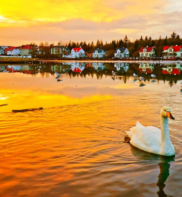 Cottages in Capital-Region