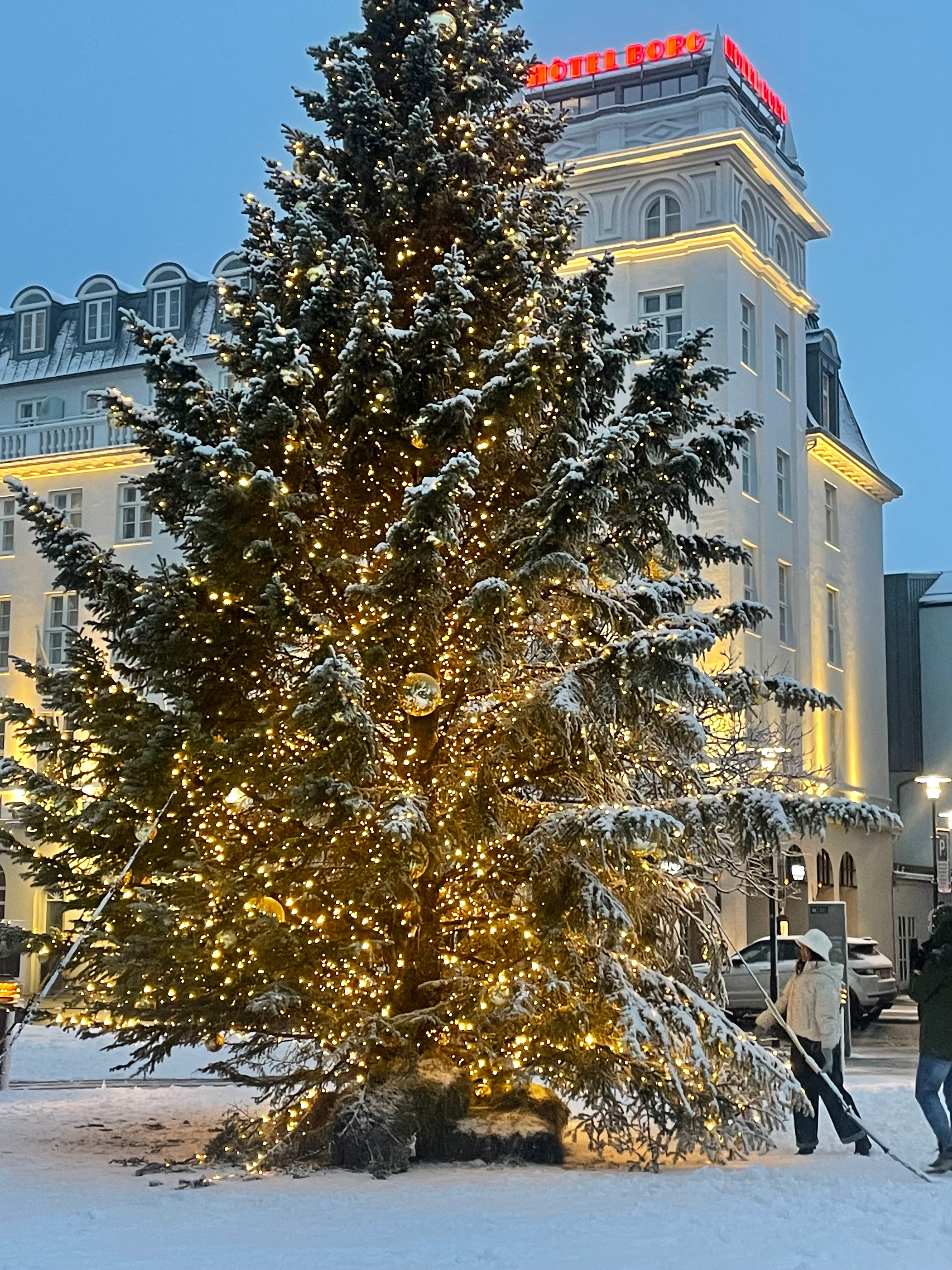 During this Reykjavik walking tour, you may see festive decorations across the city.