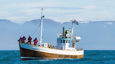 The whale-watching boat sails West towards Kinnarfjoll.