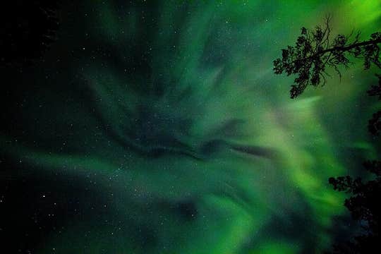Private 4-Hour Northern Lights Tour with Hot Chocolate, Donuts & Icelandic Beer from Reykjavik