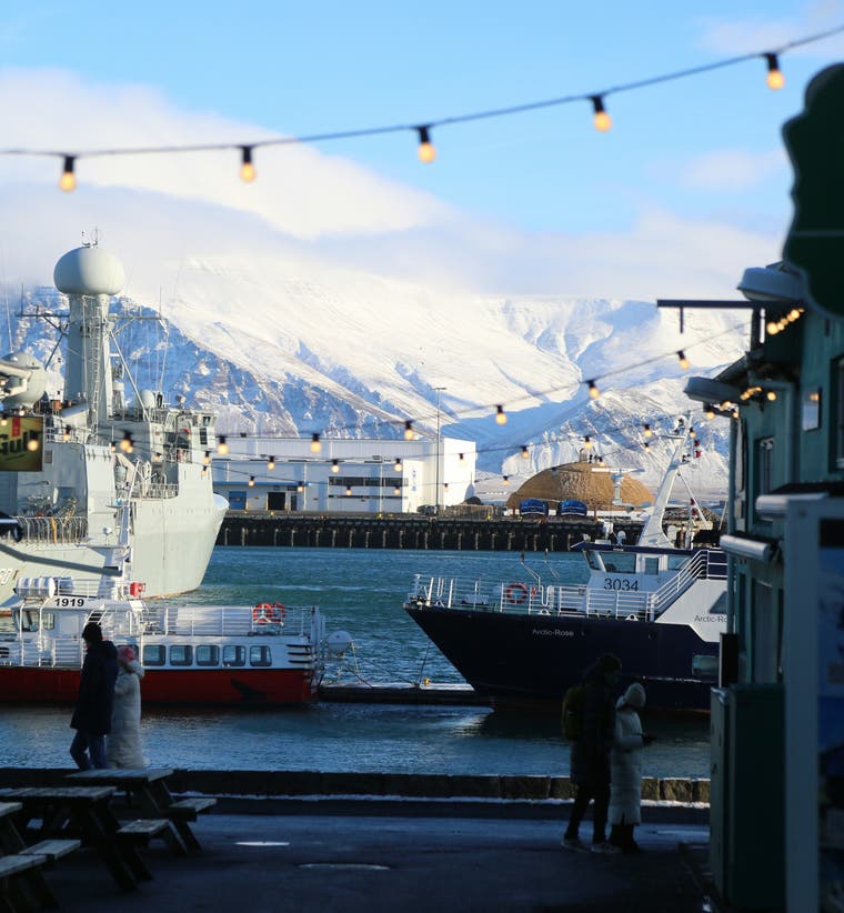 Reykjavik Shore Excursions