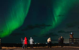 Group watching green northern lights in the countryside during a northern lights tour.