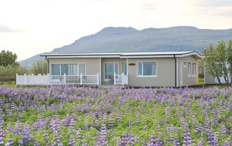 The beautiful Lynghagi house surrounded by purple flowers.
