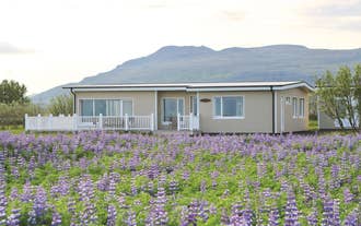 The beautiful Lynghagi house surrounded by purple flowers.