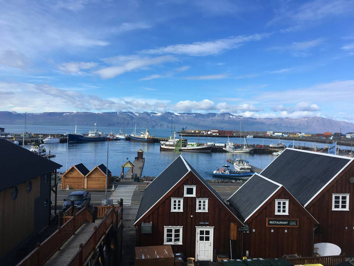 Escursioni costiere ad Akureyri | Guide to Iceland